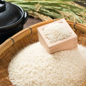 お米の正しい保存方法を解説！お米はいつまで保存できる？
