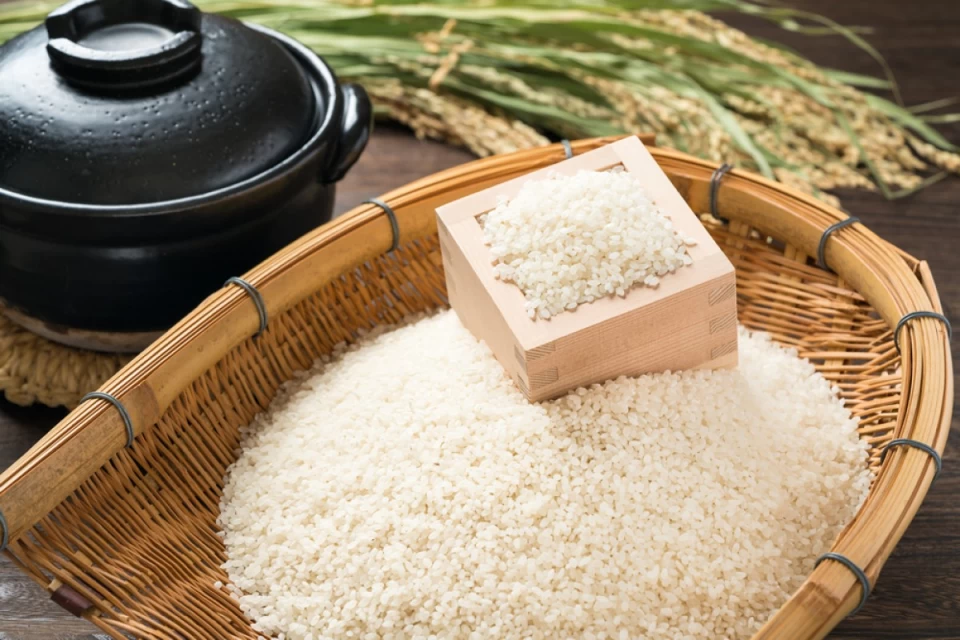 お米の正しい保存方法を解説！お米はいつまで保存できる？